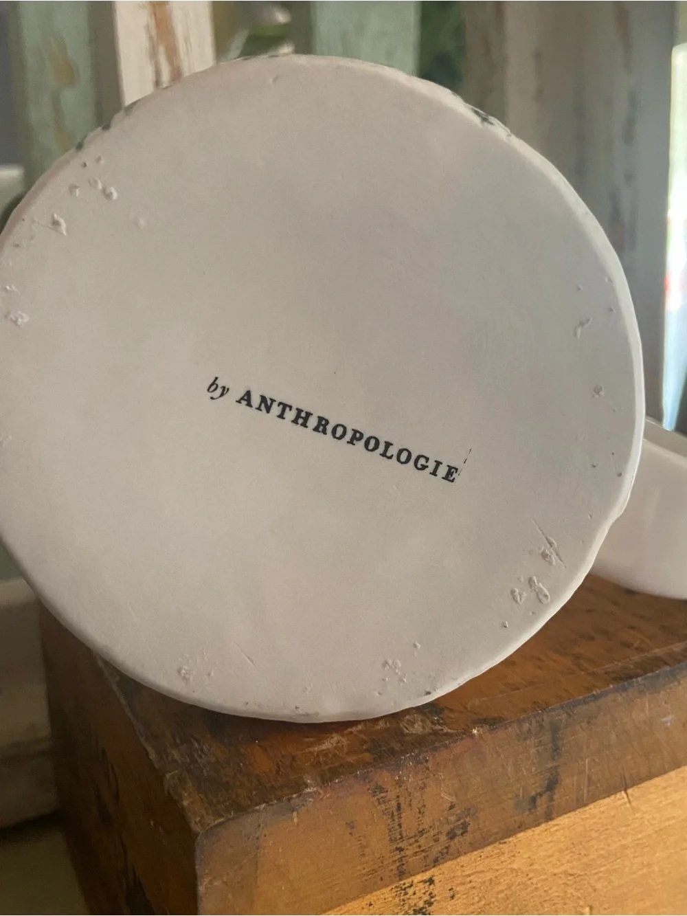 Anthropologie this charming